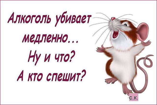 ))) - 6  2015  12:41