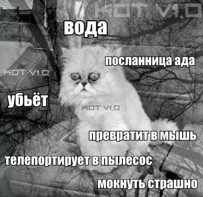  - 17  2015  11:32 - 2