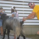 ���� ����������, ������������, 56 ��� - ��������� 15 ����� 2015 � ������ ���� ����������