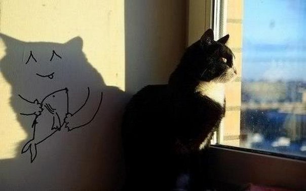 "  ".