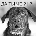  ,  -  9  2015    