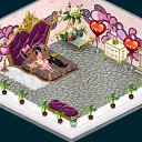 ���� �����, ������, 41 ��� - ��������� 1 ������ 2015 � ������ �Tropikania�