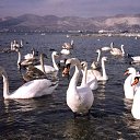 ���� �����, ������������, 57 ��� - ��������� 12 ������ 2015 � ������ �������������