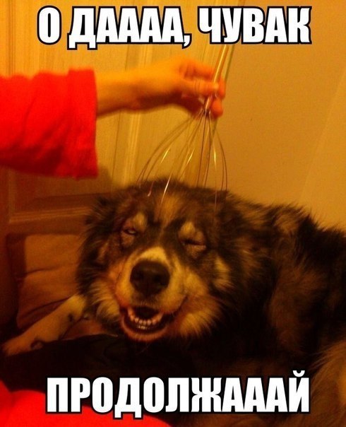   | , ,  - 9  2015  04:05