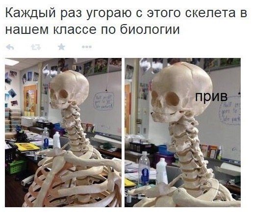     - 11  2015  08:40