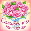 ���� �������, ��������, 53 ���� - ��������� 11 ������ 2015 � ������ �������� ��������