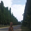 ���� ������ ��������������, ������, 50 ��� - ��������� 16 ������� 2015 � ������ ���� ����������