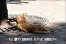   ,  : <a href=