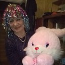 2015 ��� �� ������� ���� ����������