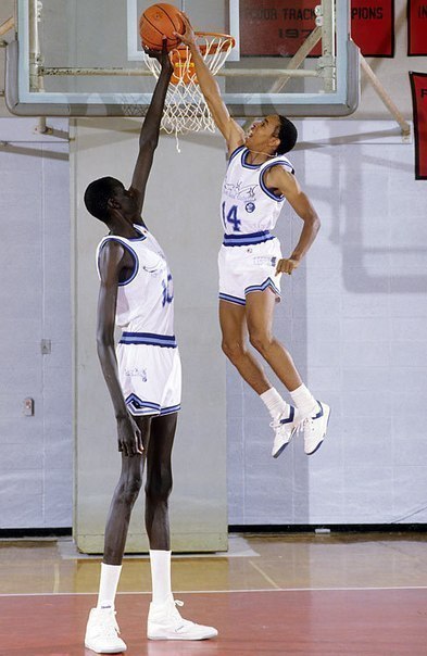           NBA.    231232 , ... - 3