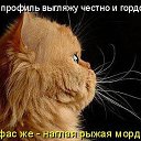  *  *, , 51  -  5  2015    