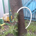 14. ����� ������� ��������� ����, � ������ ������ ������. �� ������� ���������� ������: "������ ���������? ��������)))"�