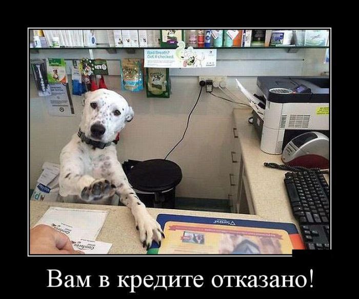    :-) - 9  2015  11:40