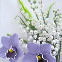 ���� �������, �����������, 61 ��� - ��������� 3 ������ 2015 � ������ ���� ����������