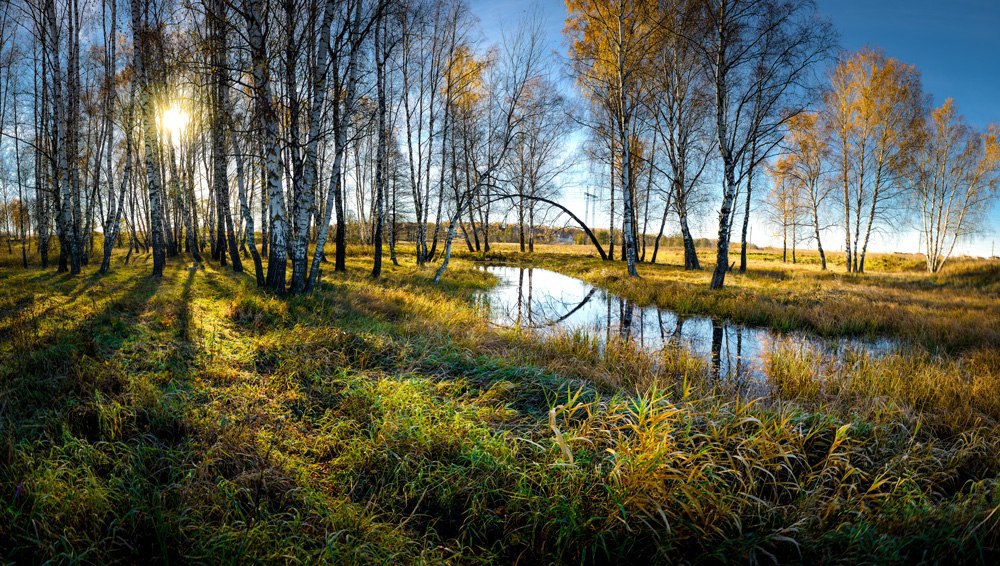 Наш край Подмосковье. Сентябрьское утро. Классная природа в Подмосковье. Открытки пейзажи Подмосковные.