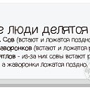 ���� �����, ���� - ��������� 24 ������� 2015 � ������ ������ ��������