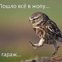 ���� Andy, �����-��������� - ��������� 7 ����� 2015 � ������ ������ ��������