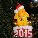���� ���, ������������ - ��������� 13 ������ 2015 � ������ ���� ����������