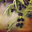 ���� Vostania, ������, 58 ��� - ��������� 16 ������ 2015 � ������ ������ ��������