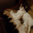 ���� �������, �����, 59 ��� - ��������� 1 ����� 2015 � ������ ���� ����������