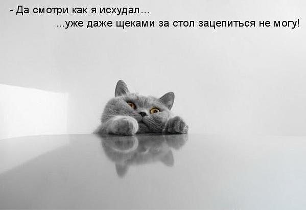  - 24  2015  21:52