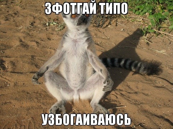   | , ,  - 16  2015  10:05