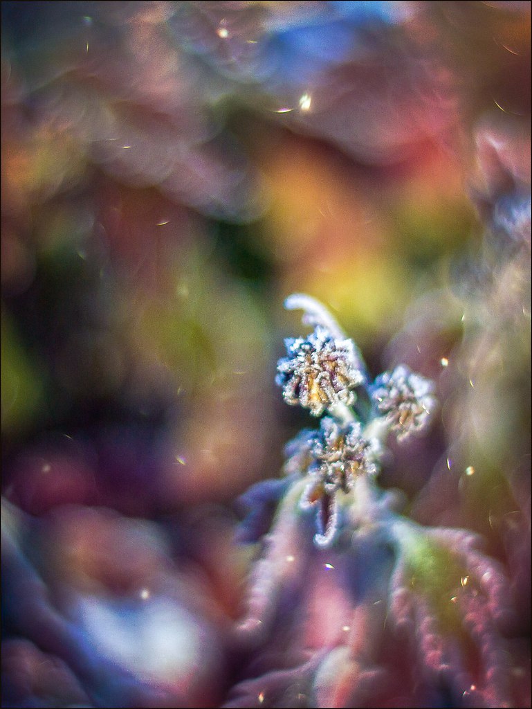   -    - 5  2015  01:21 - 3