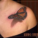 ���� �������, ������ - ��������� 15 ������� 2014 � ������ ������ ��������