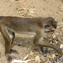 ���� Reveka, ������� - ��������� 28 ������� 2015 � ������ ���� ����������
