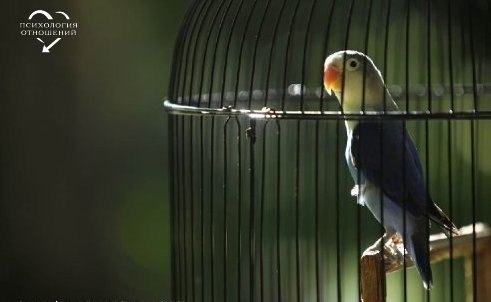 ������ �������... ���������: - �� ���, �������, �������� ������?! ����� ����: - �-�� ����, � ��� �� ...