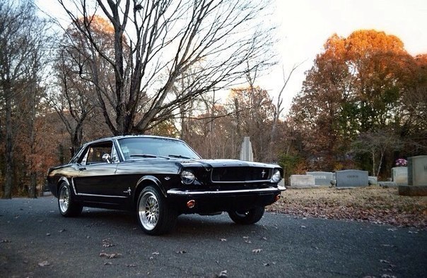 Ford Mustang - 9