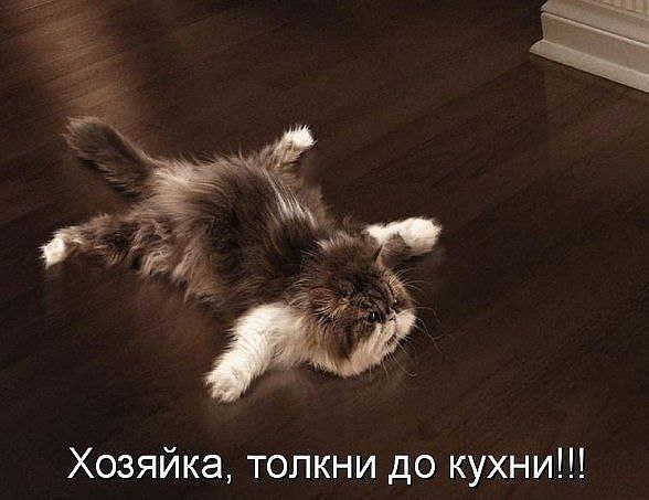 ��������� � ������,��� ���� ��������: fotostrana.ru/prikolyzikfun/