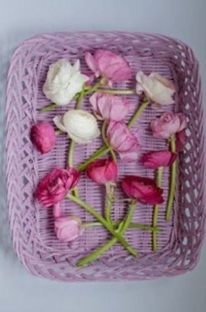 The Lady - 9  2015  21:09 - 6