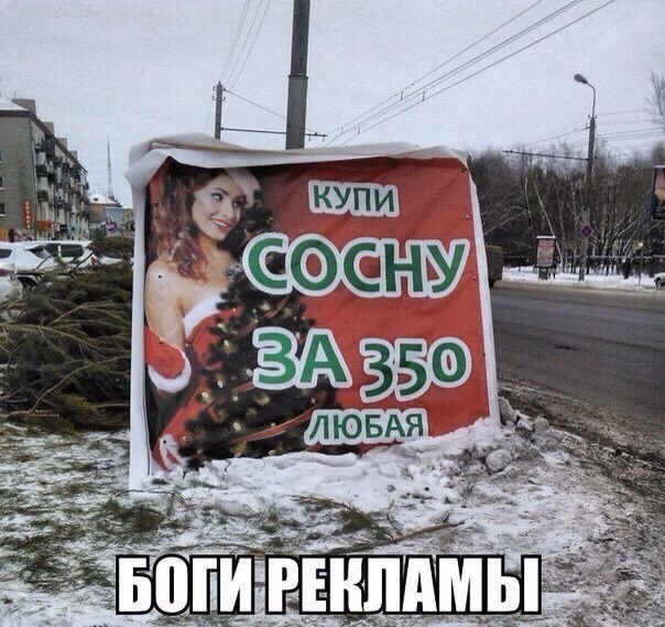  - 25  2014  12:40