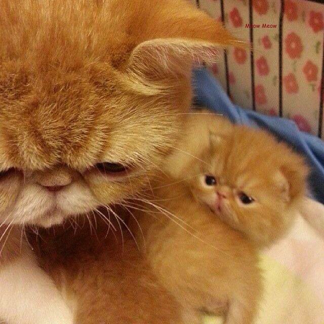 :3