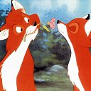 ���� ����, ����������� - ��������� 5 ������ 2015 � ������ ������ ��������