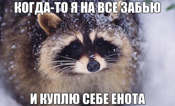   - 19  2015  03:03