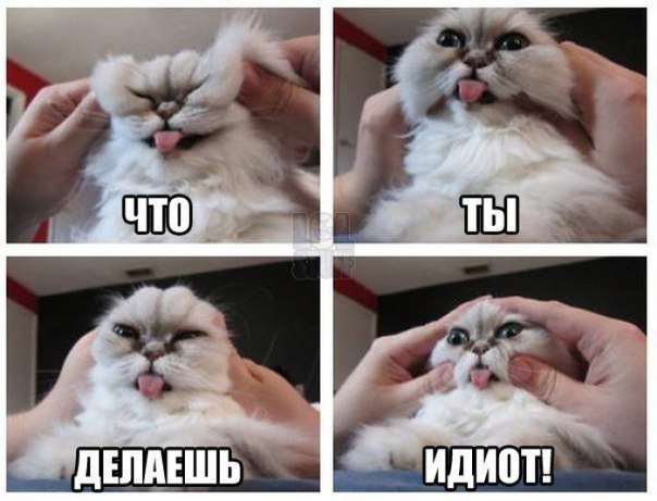   ,  : <a href=