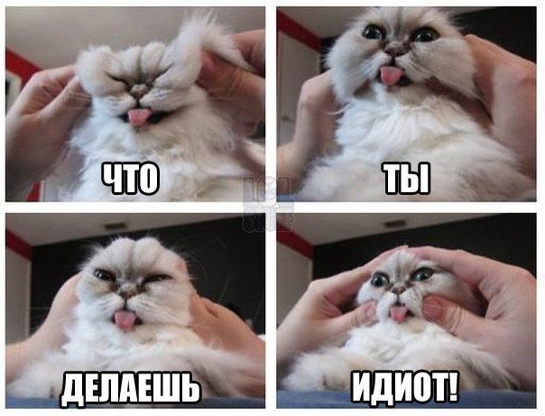 �������� ������ � ������ - 28 ����� 2015 � 03:03