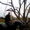 ���� �����, ������, 38 ��� - ��������� 29 ����� 2015 � ������ ���� ����������