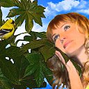 ���� ������, ��������, 42 ���� - ��������� 20 ������ 2015 � ������ ���� ����������