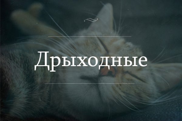       - 10  2015  14:06