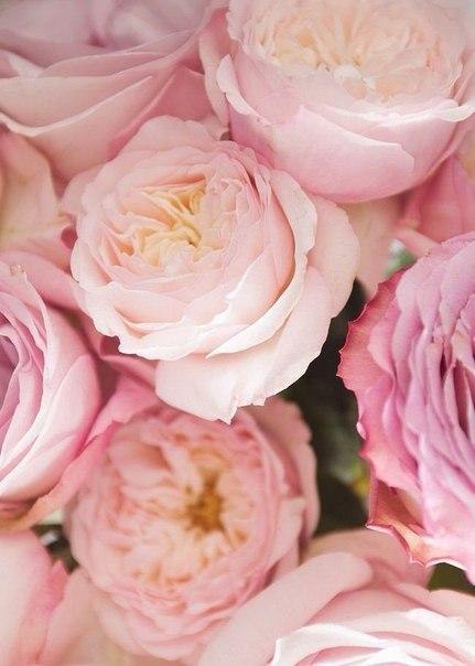    - 12  2015  13:33 - 3