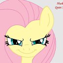  , -, 23  -  13  2015   fluttershy