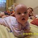 ���� �������, ����, 41 ��� - ��������� 23 ������� 2014 � ������ ���� ����������