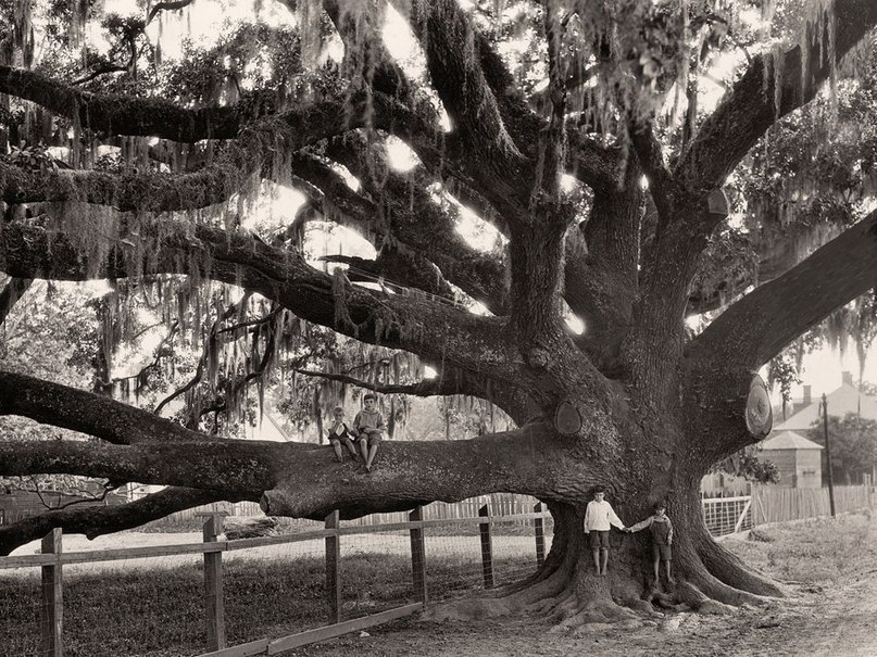   .   . National Geographic, 1930 .