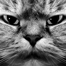 ���� ���, ������ - ��������� 29 ����� 2015