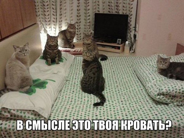 ...  .. - 12  2015  12:11