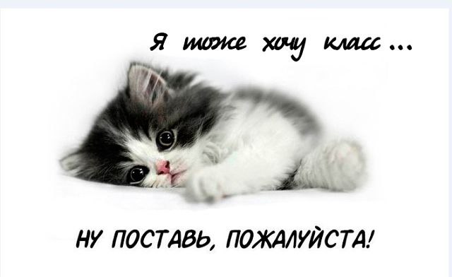  - 10  2015  07:01