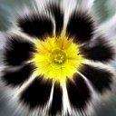  Dali, , 52  -  20  2015    